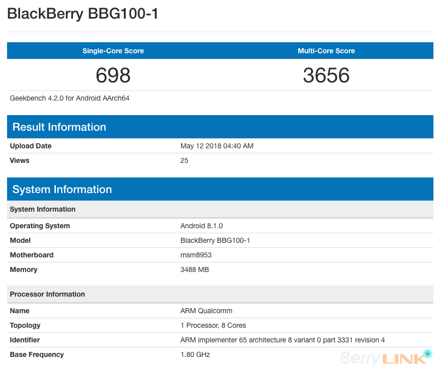 blackberry BBG100-1